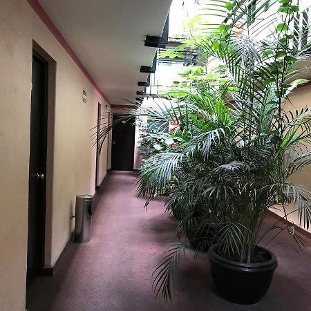 Hotel Turismo Mexico By Eksteriør billede