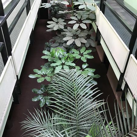 Hotel Turismo Mexico By Eksteriør billede